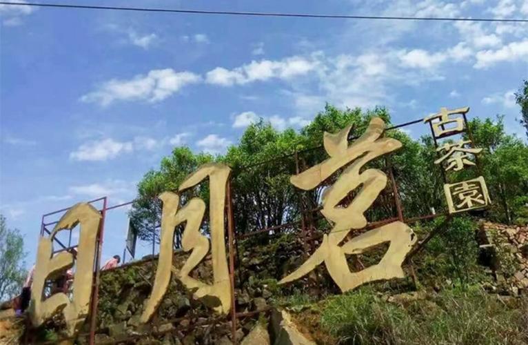 公司经营范围包括:生产,销售:茶叶,包装容器制品;种植茶叶等
